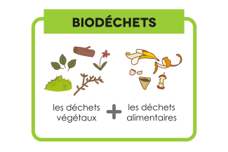 illustration symevad des 2 catégories de biodéchets