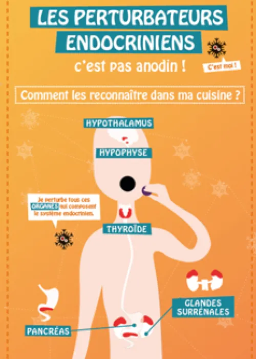 perturbateurs endocriniens - A pro bio